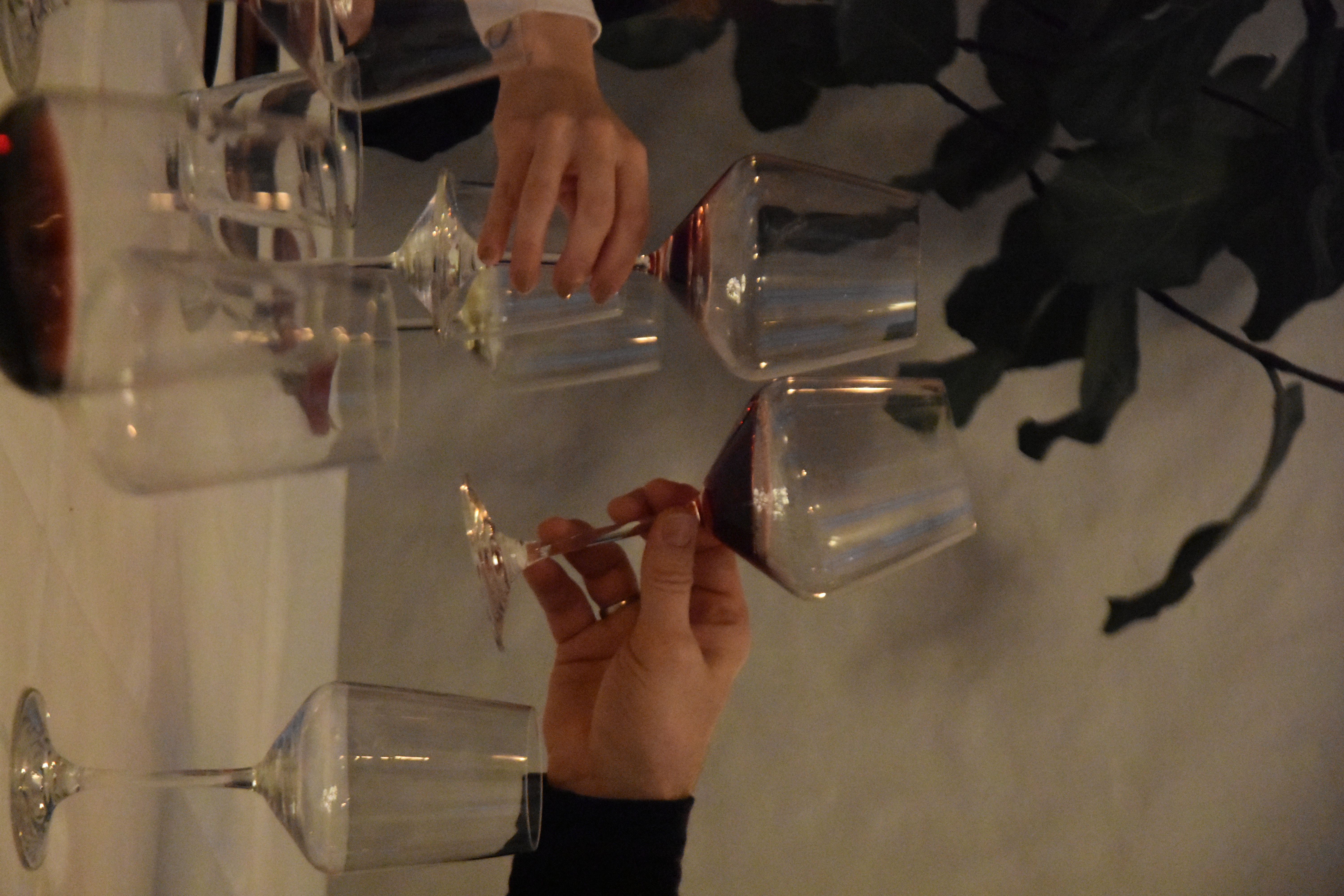 Wine tasting with dinner
